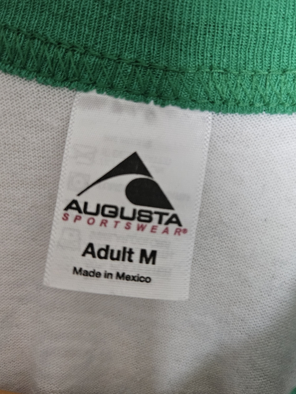 Fiona Apple Raglan Tee - Picture 4 of 6